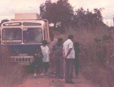 An African safari